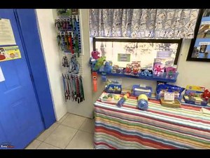 VIP Pet Resort | Port Orange, FL | Pet Boarding