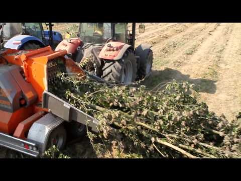 GANDINImeccanica-chipper-shredder wood-machine à bois déchiqueté-Maschinen geschreddert Holz