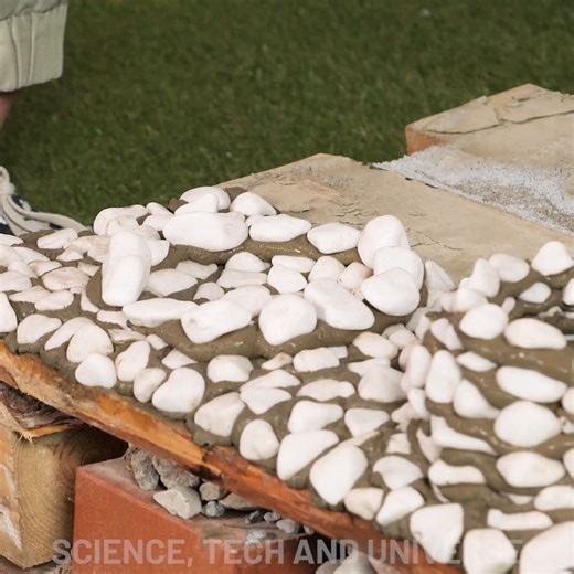 Comfortable DIY House For Your Dog | Science, Tech and Universe