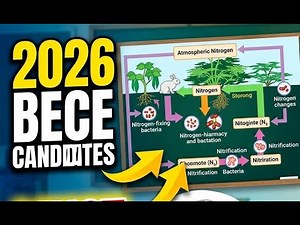 2026 Likely Social Studies Questions & Answers, BECE May 6th