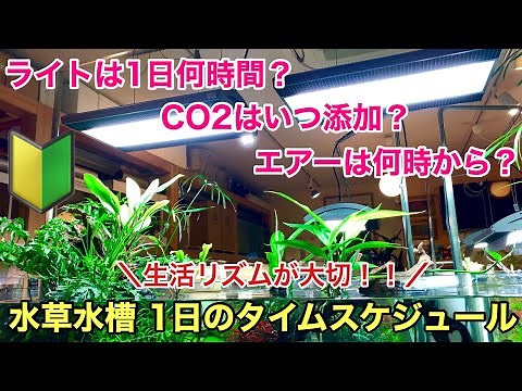 水草水槽の照明は何時間？いつCO2添加するの？エアレーションは何時間？「初心者のためのアクアリウム・まずタイムスケジュールを決めよう」ADAネイチャーアクアリウム、レイアウト立ち上げ、aquarium