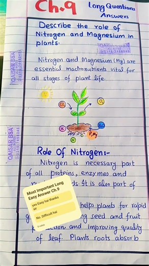 Biology Class 9th Chapter 9 Most important Long Role of Nitrogen and Magnesium