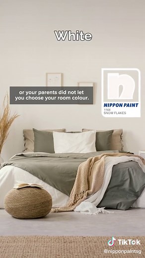 What room colour do you have? 🫣 #wallcolour #wallpaint #roomcolours #tiktoksg #nipponpaintsg