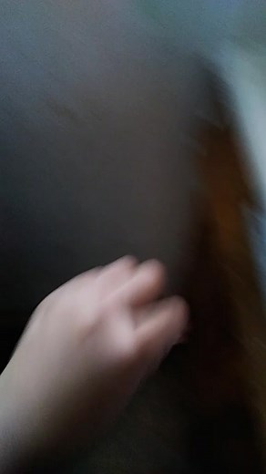 handpuppet-2 on TikTok