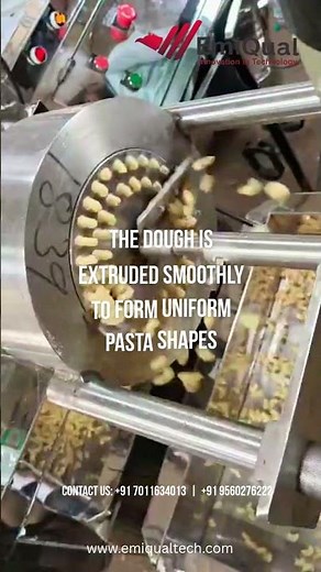 Industrial Pasta Making Machine | Pasta Die Working Process​