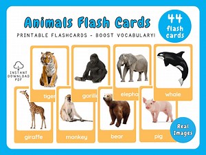 Animal Flash Cards: 44 Cards, Real Images Vocabulary for Kids (digital Download) - Etsy