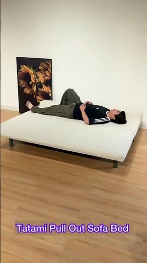 Tatami Pull Out Sofa Bed