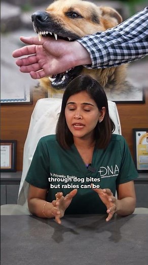 🛡️ Rabies Vaccination Schedule