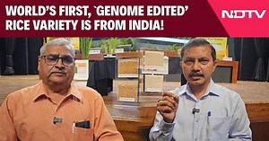 Video | Genome Edited Rice | World's First, 'Genome Edited' Rice Variety Is From India!