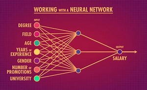 Neural Networks