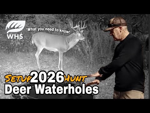 Can't Miss Deer Waterhole Setup Tips