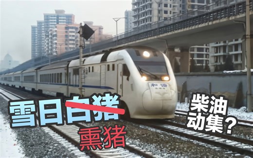 【老京包】真·熏烤白猪王——市郊S2线NDJ3-0001/2牵引25DT型客车通过四道口