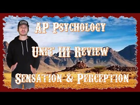 AP Psychology: Unit III Review - Sensation and Perception (Check Comments for Updated Video)