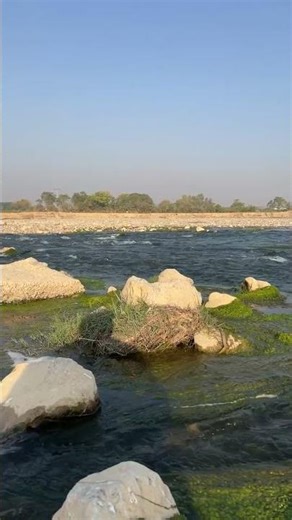 Epic Captured LIVE | Soothing River Flow in the Valley 🌿✨