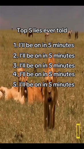 flex (@flexnshine)’s video of lie to girls