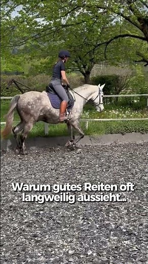Warum gutes Reiten oft langweilig ausseiht... ⬇️