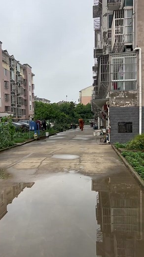 Hi, hi, hi, hi, hi, hi, hi, hi#funny #funnyvideos # #funnylife #foryou #funnybear