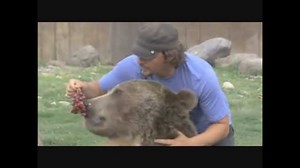 一人の男性が熊に食べられる映像.mp4