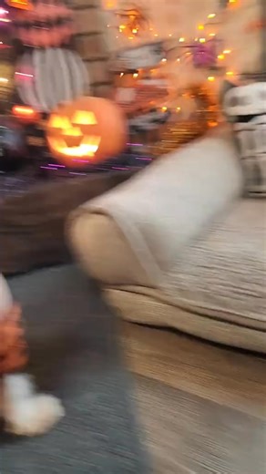 24K views · 3.4K reactions | A very Snoop Dogg Halloween #halloweendogs #halloween #marlhalloween #marlsnoopdogg | MidSouth Animal Rescue League | Facebook