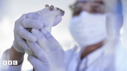 Animal testing: What is it and why are people talking about it?