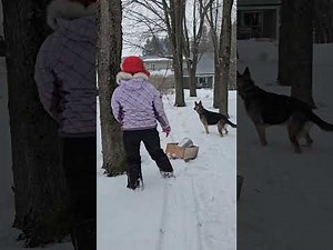 How to make maple syrup for beginner ll Pilipina in Canada