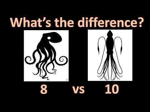 The Optimal Number of Arms