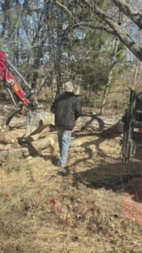 Tree Day ! Let's Gooooo 2026