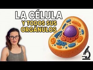 La célula explicada fácil 🧫 | Orgánulos, funciones y tipos | ESO y Bachillerato
