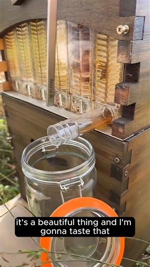 3.7M views · 32K reactions |  A quick how-to: harvest honey straight from the hive — no heavy lifting, no mess, just pure golden goodness! #FlowHive #HoneyHarvest #LiveQandA #quickcuts | Flow Hive | Facebook