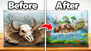 I transformed a turtle's abandoned home 🌿