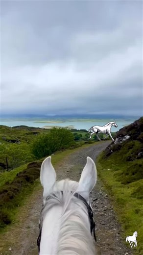 Ireland is recognized worldwide for its equestrian heritage, exceptional horses, and riding landscapes shaped by centuries of tradition. This curated horseback journey offers access to private estates, historic riding trails, and castle grounds normally closed to the public. Riders experience varied terrain, from rolling countryside to coastal paths, selected for balance, safety, and quality horsemanship. Evenings are hosted in heritage accommodations where Irish culture, cuisine, and history co