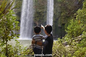 Family In Forest Videos, Download The BEST Free 4k Stock Video Footage & Family In Forest HD Video Clips