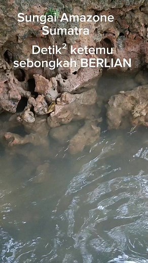 81K views · 616 reactions | ordinary works of art from fringe agate craftsmen rock hunting #gemstones #minerals #crystalshop #fosil #jewelry #gemstone #handmade #gems #amethyst #healing #mineral #geology #nature #crystalcollection #fashion #lapidaryartist #gemsfaceting #agatecollector #batuakik #jewelry #agate #batuakiknusantara #viral #fyp #fypageシ #gemstoneindonesia #art #fypシ゚ | Supra Afrianto | Facebook