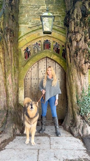 207K views · 8.8K reactions | Phoenix howling at the Tolkien ‘portal’ door at St Edwards’s Church, Stow-on-the-Wold, Cotswolds. #stowonthewold #cotswolds #tolkien #lordoftherings #wolf #wolves #wolfdog #wolfhowl | Anneka Svenska | Facebook