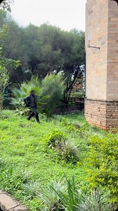 Give me your phone prank gone wrong 💔💔😂😂😂😂 #prank #foryou | Vindee