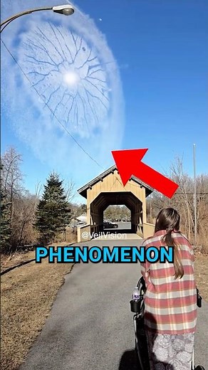 TOP 5 UNBELIEVABLE PHENOMENON THAT EVEN SCIENTIST CAN'T EXPLAIN!😱😨