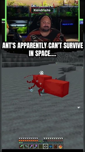 So... apparently this animal doesn't like space. #clips #shorts #reels #minecraft #minecraftmemes