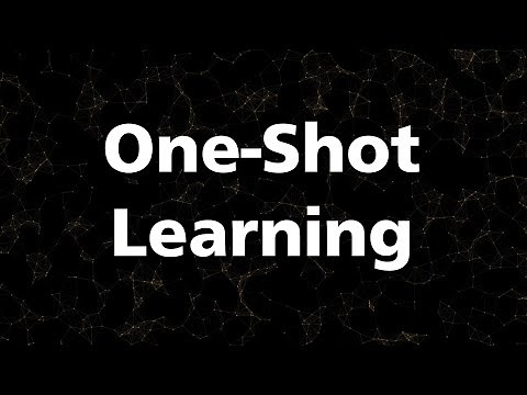 12. One-shot learning for teaching neural networks to classify objects never seen before