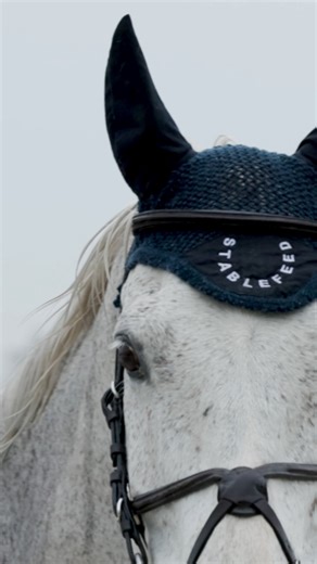 StableFeed takes pride in providing real solutions to real problems with real food; making a difference in lives of riders and their horses. HD360 Productions . . #equestrianprobs #horse #horses #horsesofinstagram #equestrian #equestrianlife #pony #poniesofinstagram #ottb #ottbsofinstagram #skinissues #allergies #horseprobs #horsefeed #fueledbyStableFeed #rawhorsefood #rawhorsefeed | StableFeed | Facebook