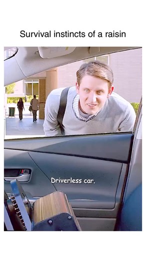 Movies | Memes | Streamers on Instagram: "Survival instincts of a raisin Credits: HBO (network), created by Mike Judge, John Altschuler, and Dave Krinsky, starring Thomas Middleditch, T.J. Miller, Martin Starr, Kumail Nanjiani, Zach Woods, Amanda Crew, Matt Ross, Josh Brener Silicon Valley is a tech comedy that follows Richard Hendricks (Thomas Middleditch), a shy programmer who creates a revolutionary compression algorithm and suddenly finds himself at the center of Silicon Valley’s ruthless st