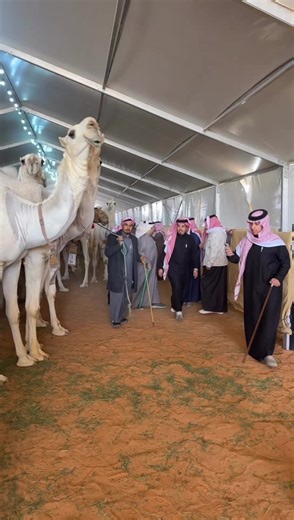 يزيد أبوخشيم: أروع مغامرات الصياهد رماح