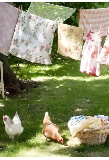 if ur reading this, this is ur sign to put on some music and do some twirling 🌪️🫧 #spinning #twirling #sabrinacarpenter #arianagrande #moodboard