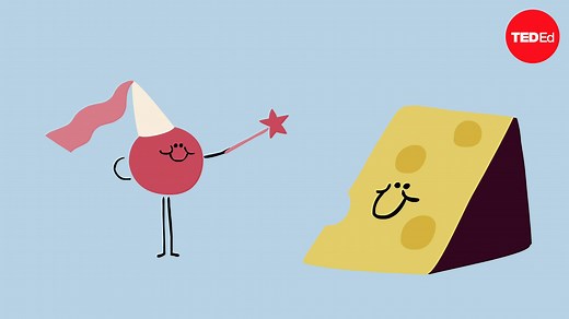 A brie(f) history of cheese