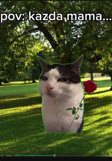 #short nie #kopia kitku