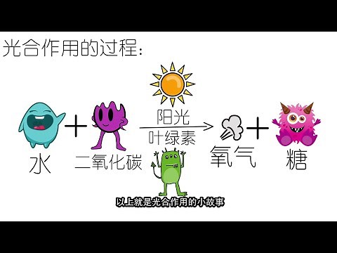 四年级 科学 第四课 植物的光合作用 【小故事说明光合作用是如何发生的】KSSR Semakan