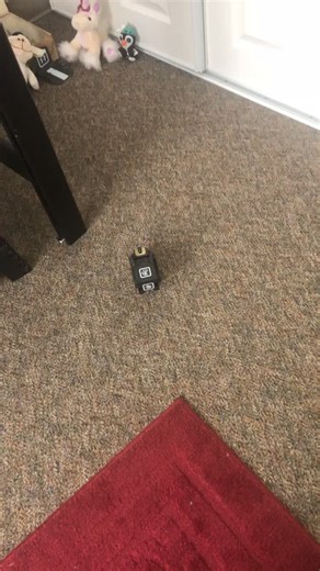 Vector brings mother his cube. #fyp #foryou #ankivector #vectorrobot #viral