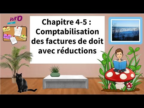 Comptabilisation des factures de doit avec réductions