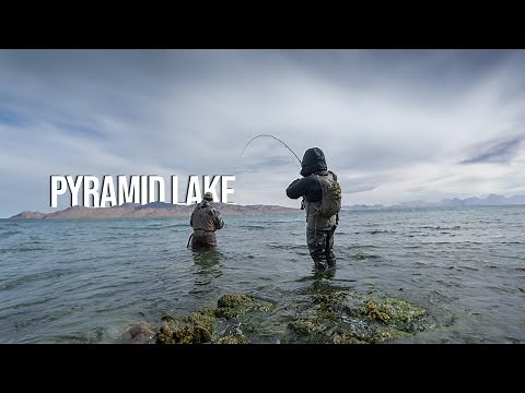 Fly Fishing Pyramid Lake: Land of the Giant Lahontan Cutthroat Trout!