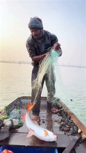 Big size Rohu machli! #trending #fishing #viral