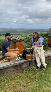 14K views · 222 reactions | Want to bee prepared for the next beekeeping season? As part of your pre-winter prep, now’s the perfect time to take inventory and stock up on essentials! From hives, to brood boxes and frames, make sure you have everything needed to keep your bees buzzing happily. ✨ Shop from our fully stocked warehouse before the Holiday Season rush and enjoy a smooth 2025 beekeeping season. #beeprepared #flowhive #apiarypreparation | Flow Hive | Facebook